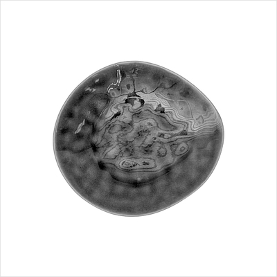 Dessertteller 19,5 cm _a la maison auster__top